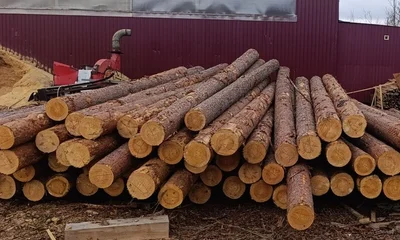 Лес кругляк